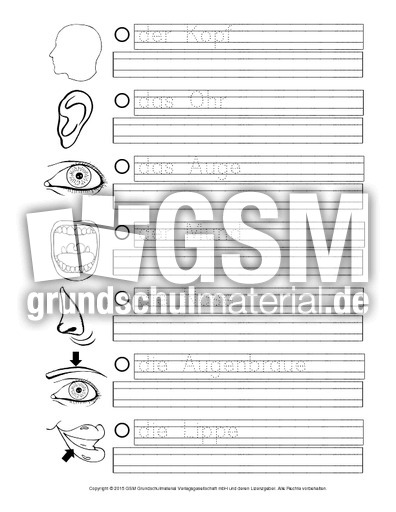 AB-Körperteile-A.pdf
